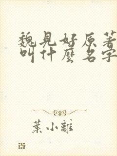 魏见好原著小说叫什么名字