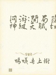 网游:开局获得神级天赋 txt下载