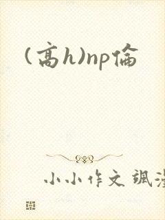 (高h)np伦