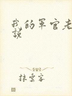 我的军官老公小说