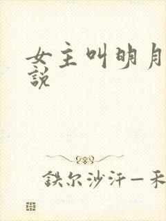 女主叫明月的小说