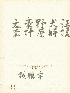 文豪野犬汪第二季什么时候播