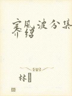 定风波分集剧情介绍