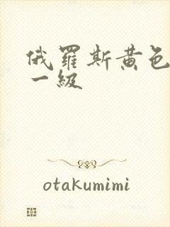 俄罗斯黄色录像一级