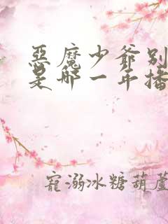 恶魔少爷别吻我是哪一年播出的