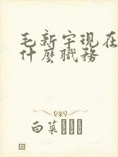 毛新宇现在任职什么职务