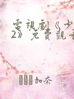 电视剧《少年派2》免费观看