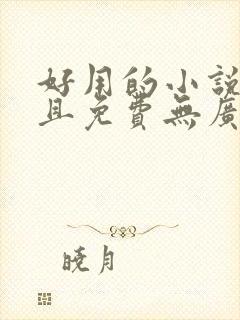 好用的小说软件且免费无广告