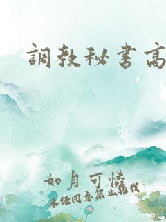 调教秘书高h