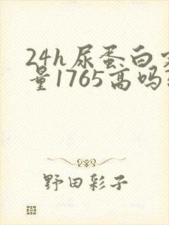 24h尿蛋白定量1765高吗?