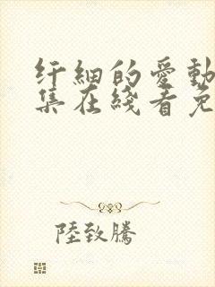 纤细的爱动漫全集在线看免费双男主