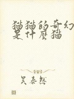 猫猫的奇幻漂流是什么猫