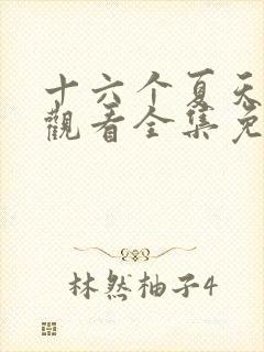 十六个夏天在线观看全集免费播放