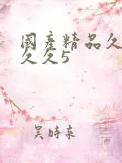 国产精品久久久久久5