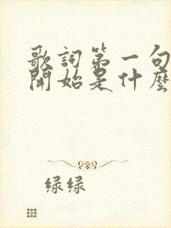 歌词第一句是一开始是什么歌