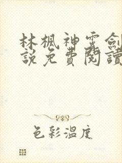 林枫神霄剑宗小说免费阅读