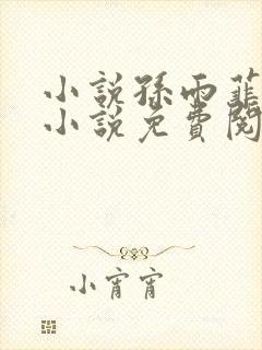 小说孙雨菲主角小说免费阅读全文