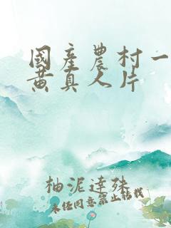 国产农村一级特黄真人片