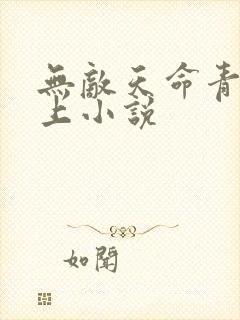 无敌天命青鸾峰上小说