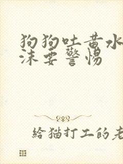 狗狗吐黄水带泡沫要警惕