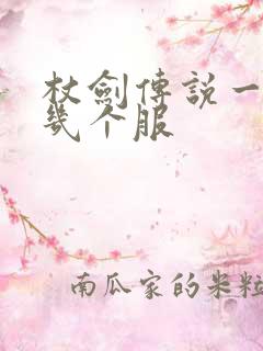 杖剑传说一天开几个服