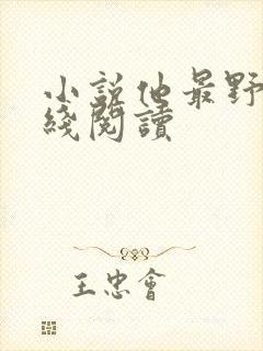 小说他最野了在线阅读