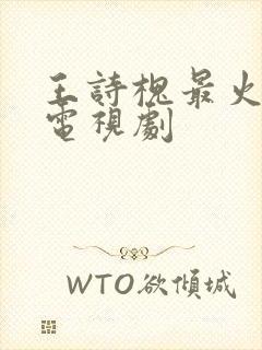 王诗槐最火十部电视剧