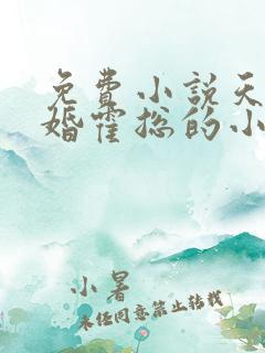 免费小说天价宠婚霍总的小娇妻