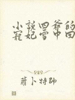 小说四爷的心尖宠妃雪中回眸