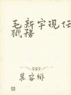 毛新宇现任什么职务