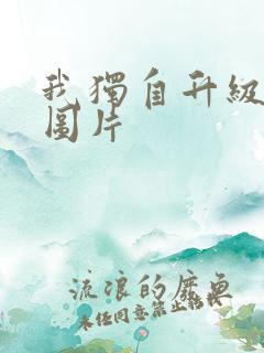 我独自升级漫画图片