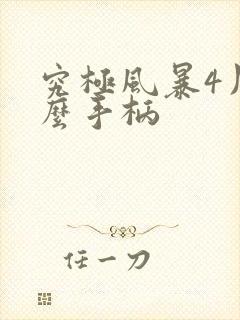 究极风暴4用什么手柄