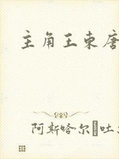主角王东唐潇