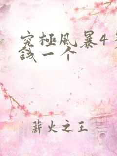 究极风暴4多少钱一个