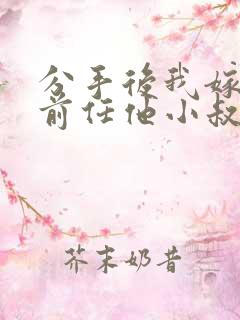 分手后我嫁给了前任他小叔(