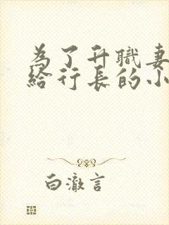 为了升职妻子献给行长的小说