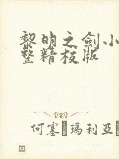 黎明之剑小说完整精校版