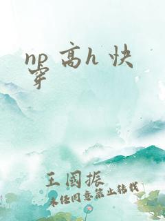 np 高h 快穿