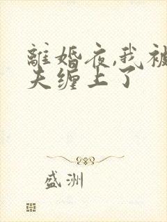 离婚夜,我被前夫缠上了