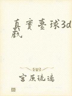 真实台球3d游戏