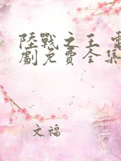 陆战之王 电视剧免费全集在线观看