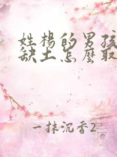 姓杨的男孩五行缺土怎么取名