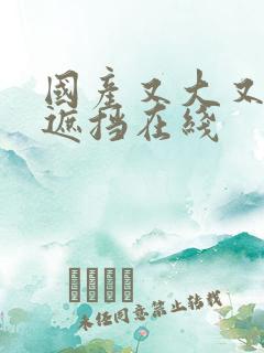 国产又大又黄无遮挡在线