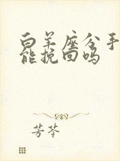 白羊座分手后还能挽回吗