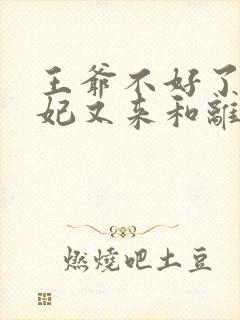 王爷不好了,王妃又来和离了