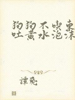 狗狗不吃东西呕吐黄水泡沫粘液