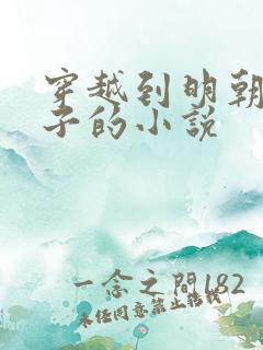 穿越到明朝当太子的小说