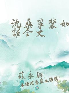 沈桑宁裴如衍小说全文