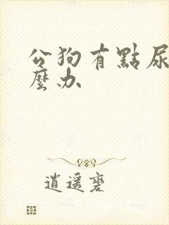 公狗有点尿血怎么办