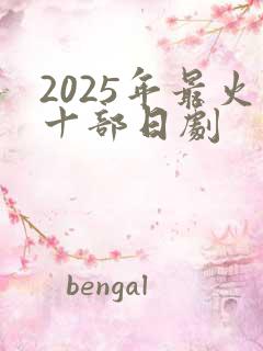 2025年最火十部日剧